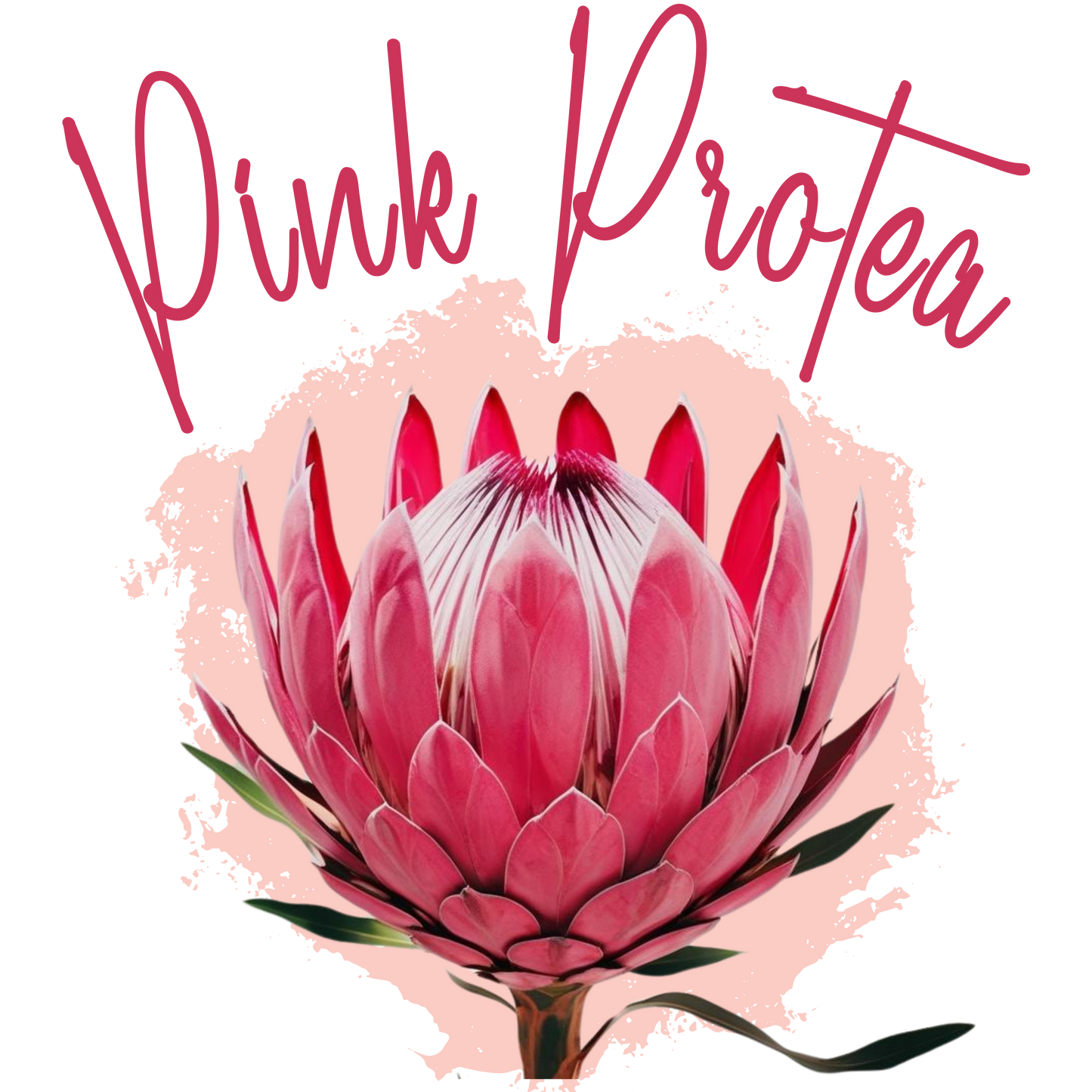 Pink Protea Gift Card
